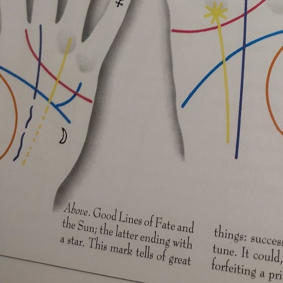 Palmistry: How to Chart the Lines of Your Life - Picture 11 of 14